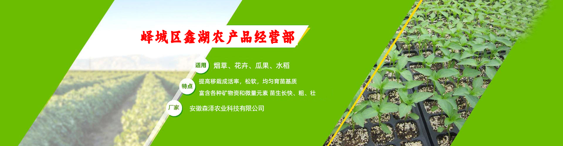 电脑幻灯片1