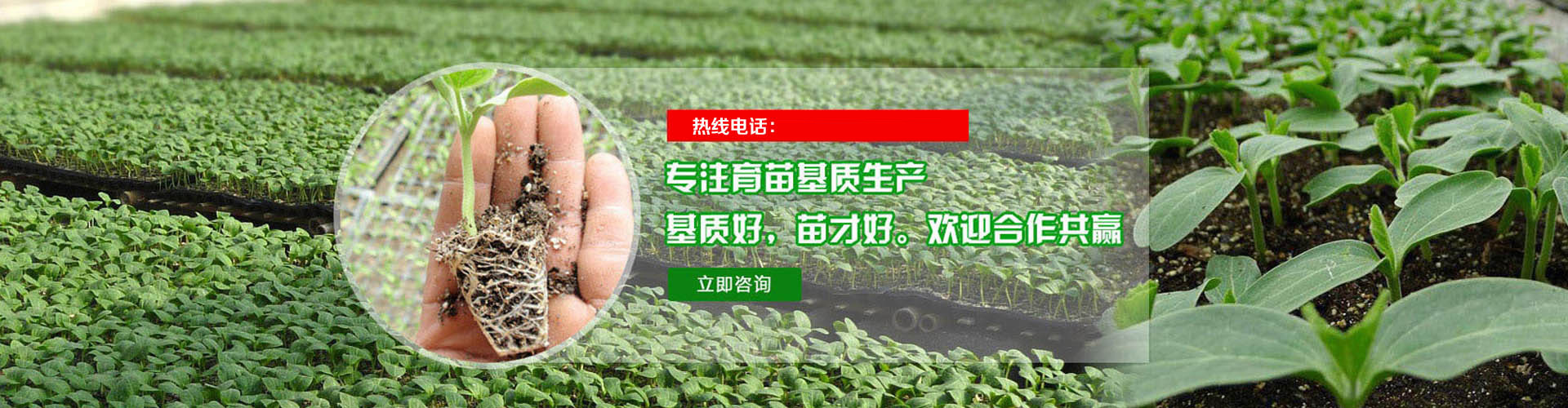 手机幻灯片1